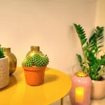 Stylish & Traditional 1 Bedroom Ddem1-1 Lejlighed