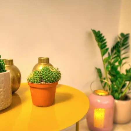 Stylish & Traditional 1 Bedroom Ddem1-1 Apartment